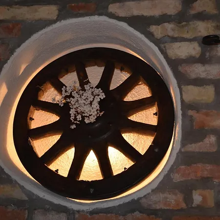 Retro In Nature Pula