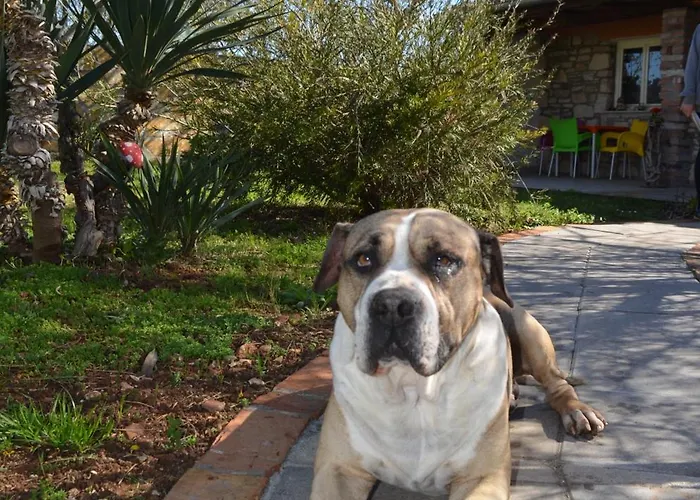 Retro In Nature Pula