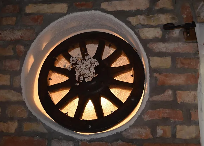 Retro In Nature Pula