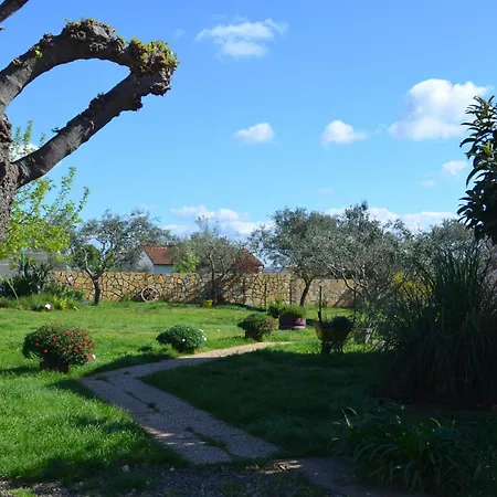 Retro In Nature Póla